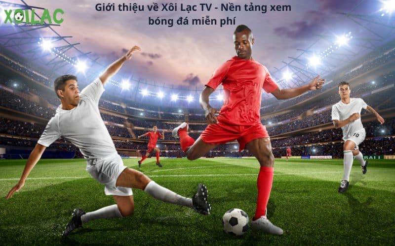 Xoilac 17 TV: Giới thiệu về kênh truyền hình thể thao độc đáo